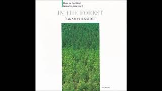 Takatoshi Naitoh (内藤孝敏) - In The Forest (1993) [Full Album]