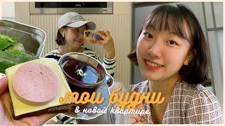 노어노문학과 자취생이 서울에서 러시아인처럼 사는 방법 / 폴댄스 / 부테르브로트 / 바나나 부침개