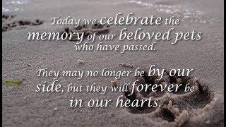 Celebration of Life Pet Memorial Video