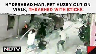 Hyderabad Latest News Updates | Hyderabad Man, Pet Husky Out On Walk Thrashed With Sticks