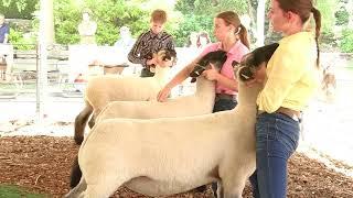 Progress Showdown at Bowers Farm