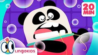 Healthy HABITS for KIDS!  | Songs for Kids | Lingokids