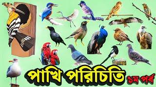 পাখি পরিচিতি | Birds Name in Bengali & English | Birds Vocabulary