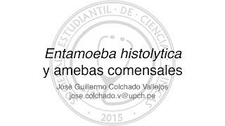 Entamoeba histolytica