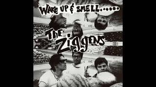 The Ziggens - I'm Not Afraid