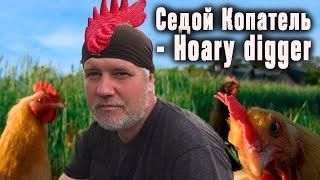 Седой Копатель - Hoary digger он же петух!