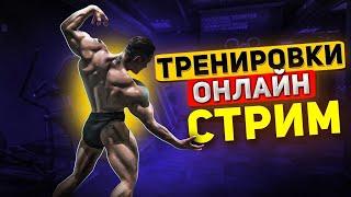 ГРУДЬ  85 | ВСЕ О ПОДГОТОВКЕ !ТЕЛЕГА | ROAD TO OLYMPIA 2025