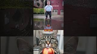 give this video title  ️(warning answer)#funny #cat #dance #shorts #meme