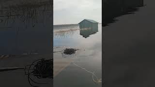 Половодье на Суходольском озере