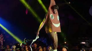 Ann Artist - Bushwig Live Performance 2022
