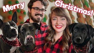 Our Dogs Do NOT Get Along...Yet | Christmas & Dog Vlog