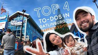 TOP 4 things to do in Gatlinburg TN - with a Toddler [PARENTS Edition!!!]