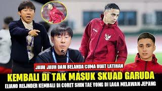 NGAPAIN DI NATURALISASI JIKA GAK MASUK SKUAD  ELIANO REIJNDER KEMBALI TAK MASUK SKEMA STY DI TIMNAS