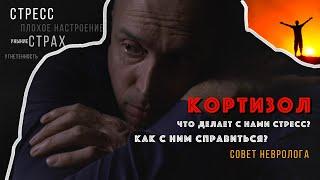 КОРТИЗОЛ - Как снизить уровень стресса? Негативные эффекты, реальный и мнимый стресс