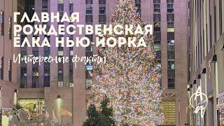 Рождественская ёлка Рокфеллеровского центра \ Интересные факты \ Christmas Tree 2021