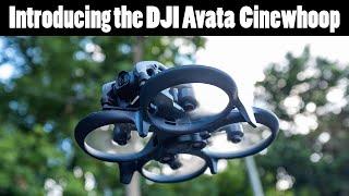 Putting DJI Avata to the Test