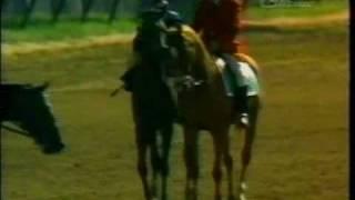 Spectacular Bid