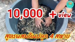 สูตรผสมดินปลูก 4 สหาย / การเตรียมดินปลูก |ผักปลอดสารพิษบ้านน้องปลายฝน