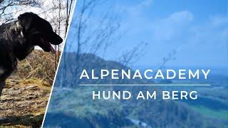 HUND AM BERG - Das sollte man wissen!