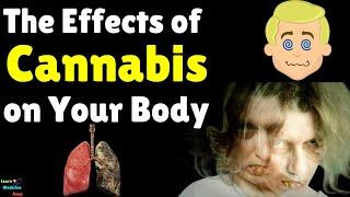 The Effects of Cannabis on Your Body