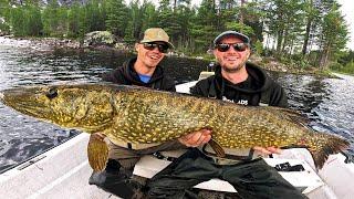 BROCHET géant de Suède, on sort les gros LEURRES !