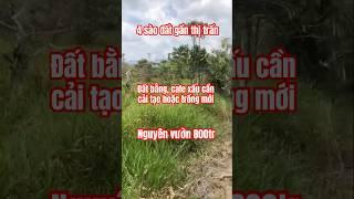 800tr || 4 sào cafe xấu, sổ hồng đầy đủ || Gần thị trấn Di Linh, Lâm Đồng #bds #dilinh #lamdong