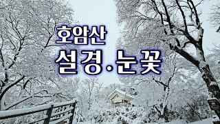 설경 / 호암산 주변 눈꽃 설경이 너무 아름답습니다.  서울에서 만끽하는 눈꽃 설경 / 눈꽃산행