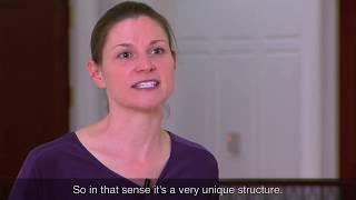 ASEA Redox and Metabolites Shift