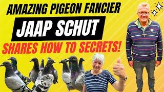 PIGEONS AMAZING Pigeon Fancier Jaap Schut HOW TO racing SECRETS!