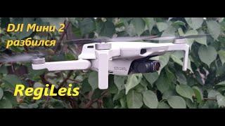 Дрон  DJI Мини 2 разбился. Атаковали птицы