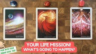 Where Are You On The Path Of Your Life Mission, And What Will Happen? | Timeless Reading