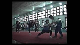 Guangdong Wushu Team Training 1997