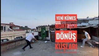 ÇATIMIZDA YENİ KÜMES YENİ  HEYECAN HEPSİ ÖZENLE SEÇİLMİŞ MUHTEŞEM DÖNÜŞLÜ KELEBEKLER