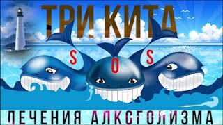  ТРИ КИТА VS АЛКОГОЛИЗМ: ФУНДАМЕНТАЛЬНЫЕ ПОНЯТИЯ ПРИ ЛЕЧЕНИИ ЗАВИСИМОСТИ ОТ АЛКОГОЛЯ, ПИВА, ВОДКИ