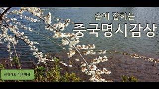 중국명시감상(제2강) , 맹호연(孟浩然)의 춘효(春曉), 한시, 낭송, 힐링한시, 힐링, 명시, 치유