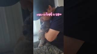 "쫑이 ,사랑에 잠기다"