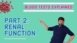 Renal Kidney Function Blood Test - What does it mean? (U&E, biochem)