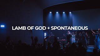 Lamb of God + Spontaneous | 2819 Worship