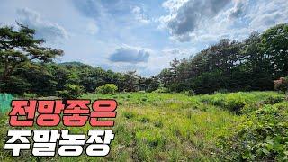 1억대 주말농장자리 계획관리지역 제조업가능 건축허가득 청주토지매매