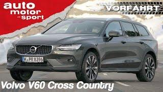 Volvo V60 Cross Country (2019): Besser als sein flacher Bruder? - Review | auto motor & sport