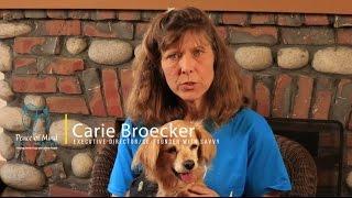 CARIE BROECKER | PEACE OF MIND DOG RESCUE STORIES SERIES