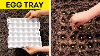 AMAZING GARDENING HACKS TO SAVE TIME AND MONEY 