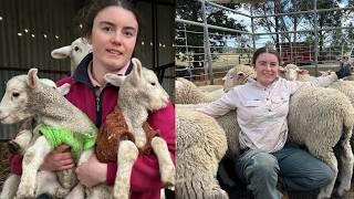 Holding Back Lambs for Zero Profit