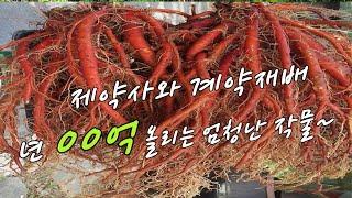 년 00억, 이 방송 못보면 엄청난 손해 / 혈관이 막혀서 "밤새 안녕" 할 일 없다,