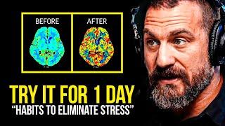 NEUROSCIENTIST: You Will NEVER Be Stressed Again | Andrew Huberman