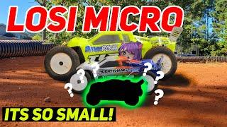 The Micro Legend Returns!!! (losi micro)