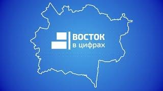 ВОСТОК В ЦИФРАХ