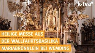 Heilige Messe live aus Wemding (katholischer Gottesdienst) - 06.11.2024