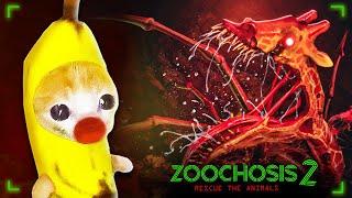 Banana Cat's in Zoochosis 2: Rescue The Animals! | Zoochosis Animation  Banana Cat Compilation 