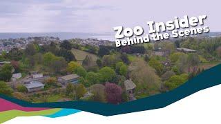 Zoo Insider - Behind The Scenes At Paignton Zoo